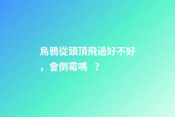烏鴉從頭頂飛過好不好，會倒霉嗎？